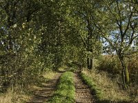 B, Limburg, Kinrooi, Zuurbeekvallei 12, Saxifraga-Jan van der Straaten