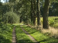 B, Limburg, Maaseik, Langeren 14, Saxifraga-Jan van der Straaten