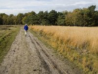 B, Limburg, Neerpelt, Hageven 26, Saxifraga-Jan van der Straaten