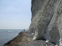 DK, Sjaelland, Vordingborg, Moens Klint South 17, Saxifraga-Jan van der Straaten