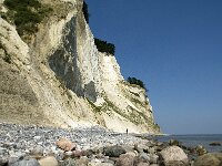 DK, Sjaelland, Vordingborg, Moens Klint South 20, Saxifraga-Jan van der Straaten