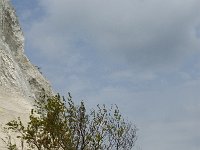 Sjaelland, Vordingborg, Moens Klint North 3, Saxifraga-Jan van der Straaten