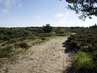 Syddanmark, Roemoe, Norreland 11, Saxifraga-Jan van der Straaten