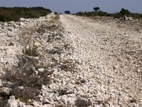 F, Bouches-du-Rhone, Saint Remy-de-Provence, Alpilles 12, Saxifraga-Dirk Hilbers