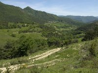 F, Drome, Saint-Andeol, Saint-Etienne 1, Saxifraga-Jan van der Straaten