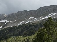 F, Drome, Treschenu-Creyers, Vallon de Combeau 31, Saxifraga-Jan van der Straaten