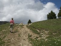 F, Drome, Treschenu-Creyers, Vallon de Combeau 33, Saxifraga-Jan van der Straaten