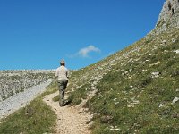 F, Drome, Treschenu-Creyers, Vallon de Combeau 7, Saxifraga-Jan van der Straaten