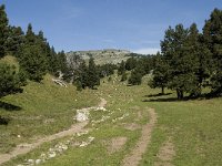 F, Drome, Treschenu-Creyers, Vallon de Combeau 72, Saxifraga-Willem van Kruijsbergen