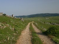 F, Lozere, Causse Mejean 6, Saxifraga-Dirk Hilbers