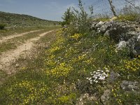 F, Lozere, Hures-la-Parade 24, Saxifraga-Jan van der Straaten