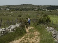 F, Lozere, Hures-la-Parade 42, Saxifraga-Marijke Verhagen