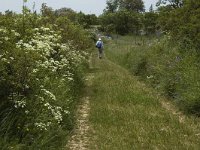 F, Lozere, Hures-la-Parade 44, Saxifraga-Marijke Verhagen