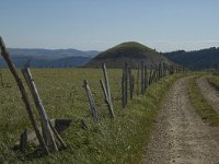 F, Lozere, Les Bondons 28, Saxifraga-Marijke Verhagen