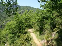 F, Lozere, Les Vignes 1, Saxifraga-Dirk Hilbers