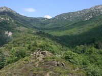 F, Lozere, Pont-de-Montvert, Mont Lozere 15, Saxifraga-Dirk Hilbers