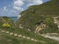 F, Seine-Maritime, Etretat, Valleuse d Antifer 28, Saxifraga-Willem van Kruijsbergen