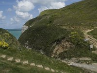 F, Seine-Maritime, Etretat, Valleuse d Antifer 36, Saxifraga-Willem van Kruijsbergen