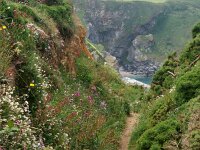 GB, Cornwall, Hayle, SW Coastpath, Hells Mouth 2, Saxifraga-Foto Fitis-Sytske Dijksen