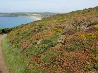 GB, Cornwall, Marazion, SW Coastpath, Michaels Mount 5, Saxifraga-Foto Fitis-Sytske Dijksen