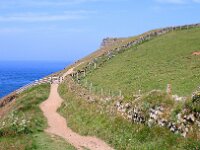 GB, Cornwall, Padstow, SW Coastpath, Doyden Point 8, Saxifraga-Foto Fitis-Sytske Dijksen