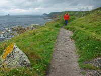 GB, Cornwall, Penzance, SW Coastpath, Sennen Cove-Pendeen 1, Saxifraga-Foto Fitis-Sytske Dijksen