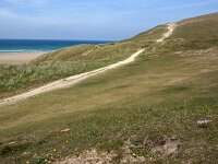 GB, Cornwall, Perranporth, SW Coastpath, Perran Beach 2, Saxifraga-Foto Fitis-Sytske Dijksen