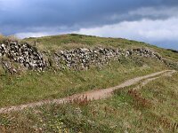 GB, Cornwall, Wadebridge, SW Coastpath, Pentire Point 2, Saxifraga-Foto Fitis-Sytske Dijksen