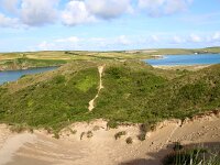 GB, Cornwall, Wadebridge, SW Coastpath, Rock 2, Saxifraga-Foto Fitis-Sytske Dijksen
