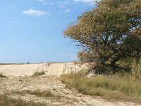 GR, Anatoliki Makedonia kai Thraki, Lasmos, Nestos Delta 20, Saxifraga-Dirk Hilbers