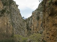 GR, Crete, Rethimnon, Patsos, Antonio Gorge 6, Saxifraga-Willem van Kruijsbergen