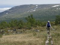 N, Innlandet, Dovre, Fokstumyra 24, Saxifraga-Jan van der Straaten