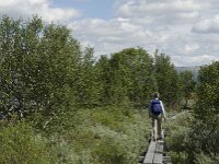N, Innlandet, Dovre, Fokstumyra 34, Saxifraga-Jan van der Straaten