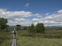 N, Innlandet, Dovre, Fokstumyra 40, Saxifraga-Jan van der Straaten