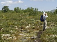N, Innlandet, Dovre, Fokstumyra 46, Saxifraga-Jan van der Straaten