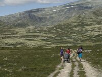 N, Innlandet, Sel, Peer Gynt Hytta 14, Saxifraga-Jan van der Straaten