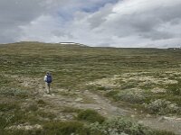 N, Trondelag, Oppdal, Reinheim 6, Saxifraga-Jan van der Straaten