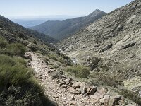 E, Avila, Guisando, Nogal del Barranco 20, Saxifraga-Willem van Kruijsbergen