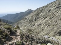 E, Avila, Guisando, Nogal del Barranco 22, Saxifraga-Willem van Kruijsbergen