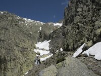 E, Avila, Guisando, Nogal del Barranco 36, Saxifraga-Willem van Kruijsbergen