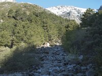 E, Avila, Guisando, Nogal del Barranco 7, Saxifraga-Willem van Kruijsbergen