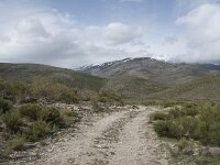 E, Avila, Hoyos del Espino 2, Saxifraga-Willem van Kruijsbergen