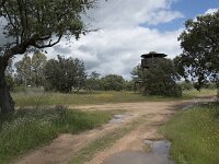 E, Badajoz, Navalvillar de Pela, Moheda Alta 17, Saxifraga-Willem van Kruijsbergen