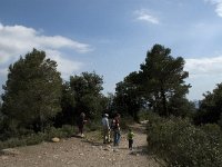 E, Barcelona, Matadepera,  NP Sant Llorenc del Munt 19, Saxifraga-Jan van der Straaten