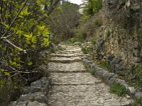 E, Cadiz, Grazalema 4, Saxifraga-Jan van der Straaten