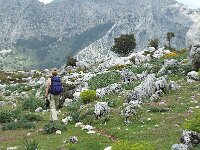 E, Cadiz, Grazalema, Salto de Cabrero 4, Saxifraga-Jan van der Straaten