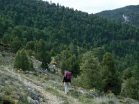 E, Teruel, Mora de Rubielos 1, Saxifraga-Jan van der Straaten