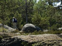 S, Gavleborgs lan, Hudiksvall, Holick 12, Saxifraga-Jan van der Straaten