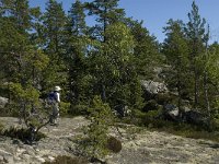 S, Gavleborgs lan, Hudiksvall, Holick 13, Saxifraga-Jan van der Straaten