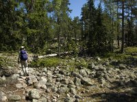 S, Gavleborgs lan, Hudiksvall, Holick 18, Saxifraga-Jan van der Straaten